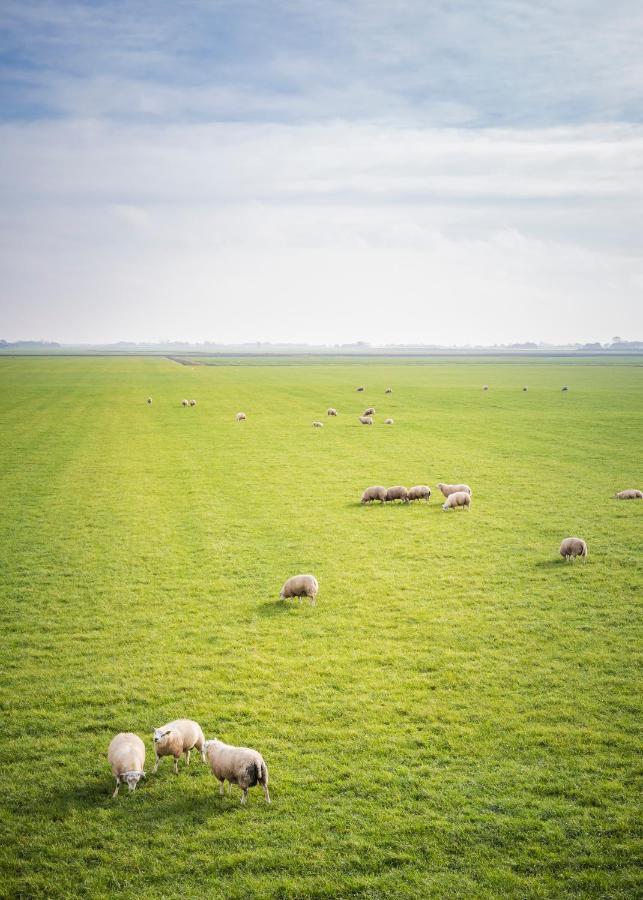 Ollediek Houwerzijl Exterior foto